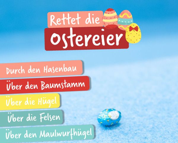 Bildung braucht Bewegung